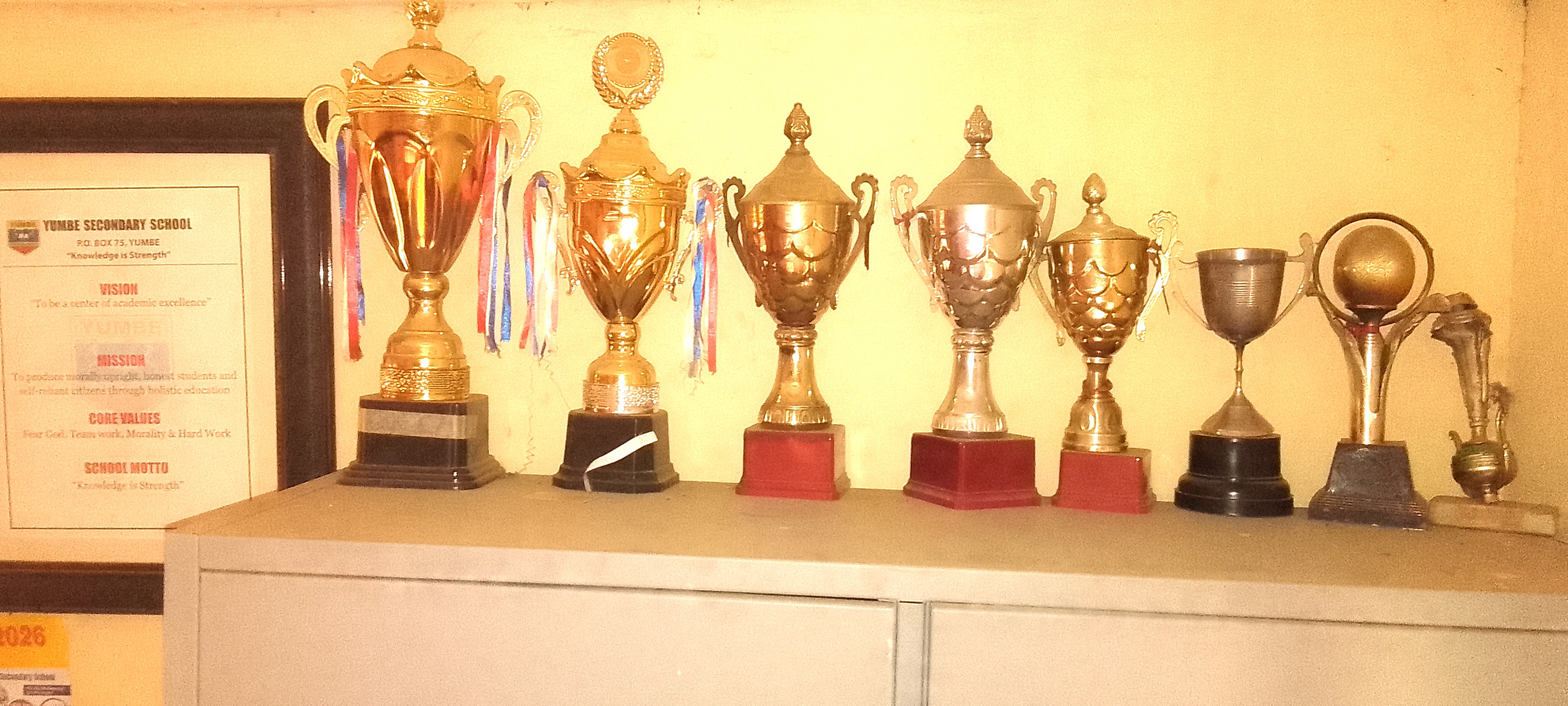 Sports Excellence